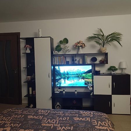 Garsoniera Rebecca Apartment Tirgu Ocna Ngoại thất bức ảnh