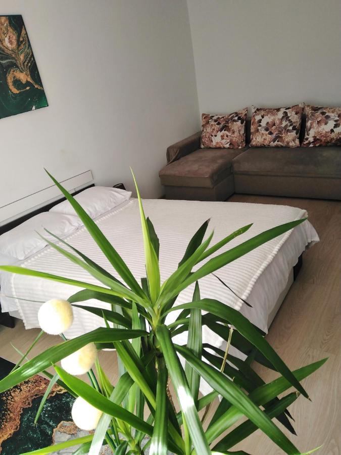 Garsoniera Rebecca Apartment Tirgu Ocna Ngoại thất bức ảnh