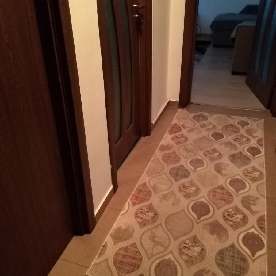 Garsoniera Rebecca Apartment Tirgu Ocna Ngoại thất bức ảnh