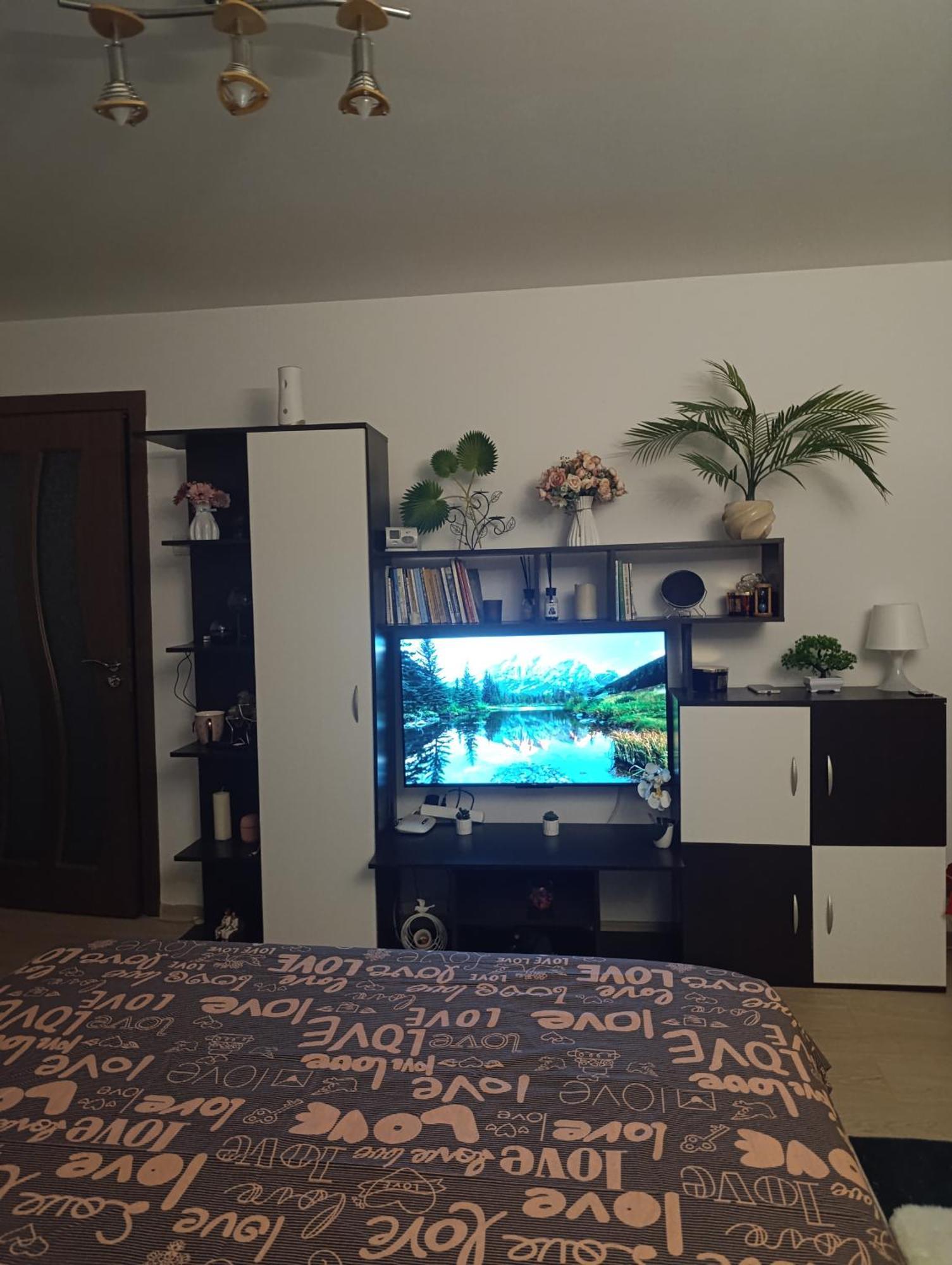 Garsoniera Rebecca Apartment Tirgu Ocna Ngoại thất bức ảnh